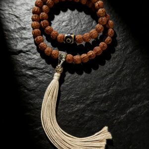 微信图片 20260301232338 16 5